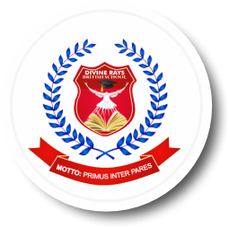 Partner 5
